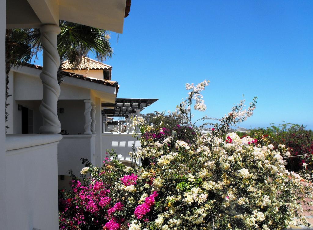 Los Cabos Golf Resort By Vri Resort 卡波圣卢卡斯 外观 照片